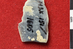 1605s