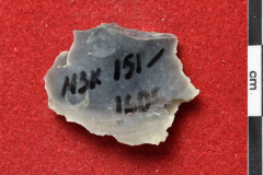 1606s