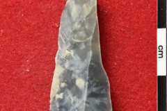 1614s