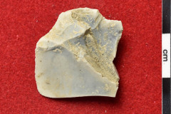 1616s