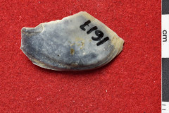 1617s