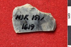 1619s