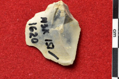 1620s