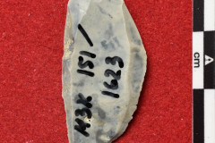 1623s
