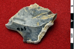 1634s