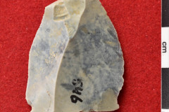 1636s