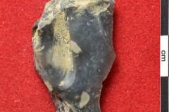 1648s