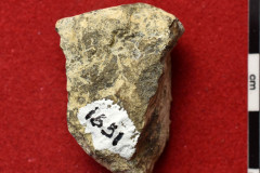 1651s