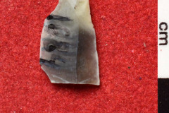 1684s