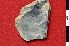 1699s