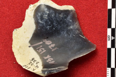 1704s