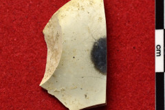1818s