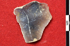 1819s