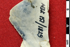 1829s