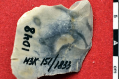 1833s