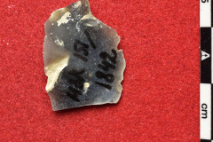 1842s