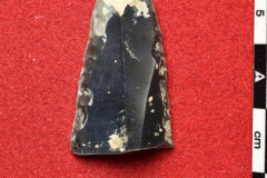 1849s