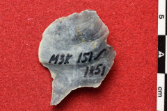 1851s
