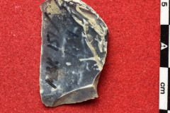 1854s