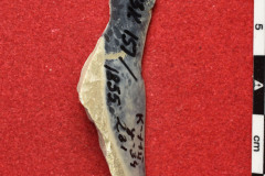 1855s