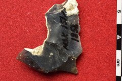 1858s