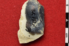 1859s