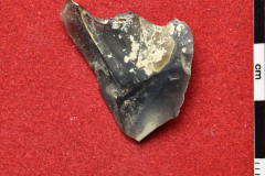 1875
