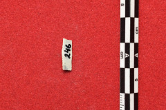 246