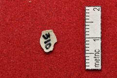 310