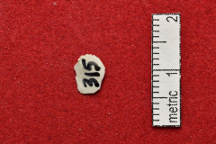 315