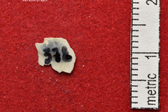 378s