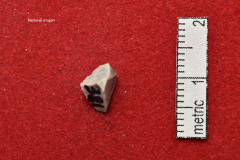381s