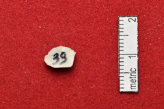 39