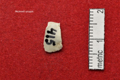 415s