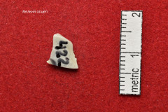 422s
