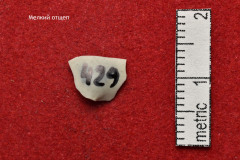 429s