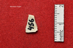 456s