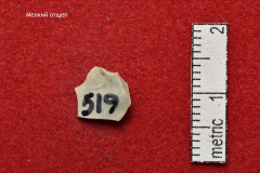 519s