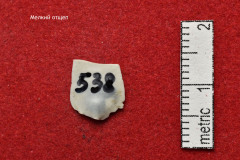 538s