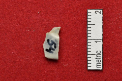 54