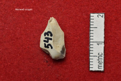 543s