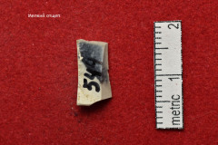 544s