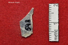 548s