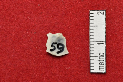 59