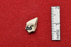 65