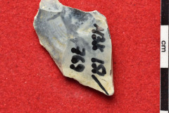 769s