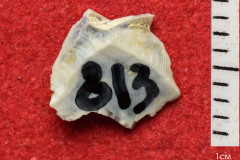 813s