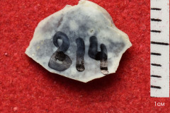 814s