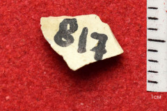 817s