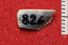 826s